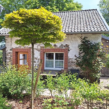 Ferienhaus Altes Backhaus روتجن المظهر الخارجي الصورة